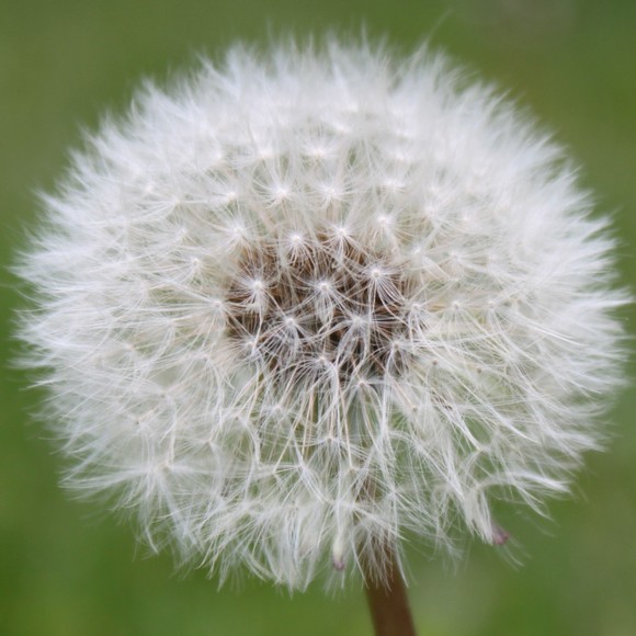 Meet your Posher, La - Picture 1 of 1